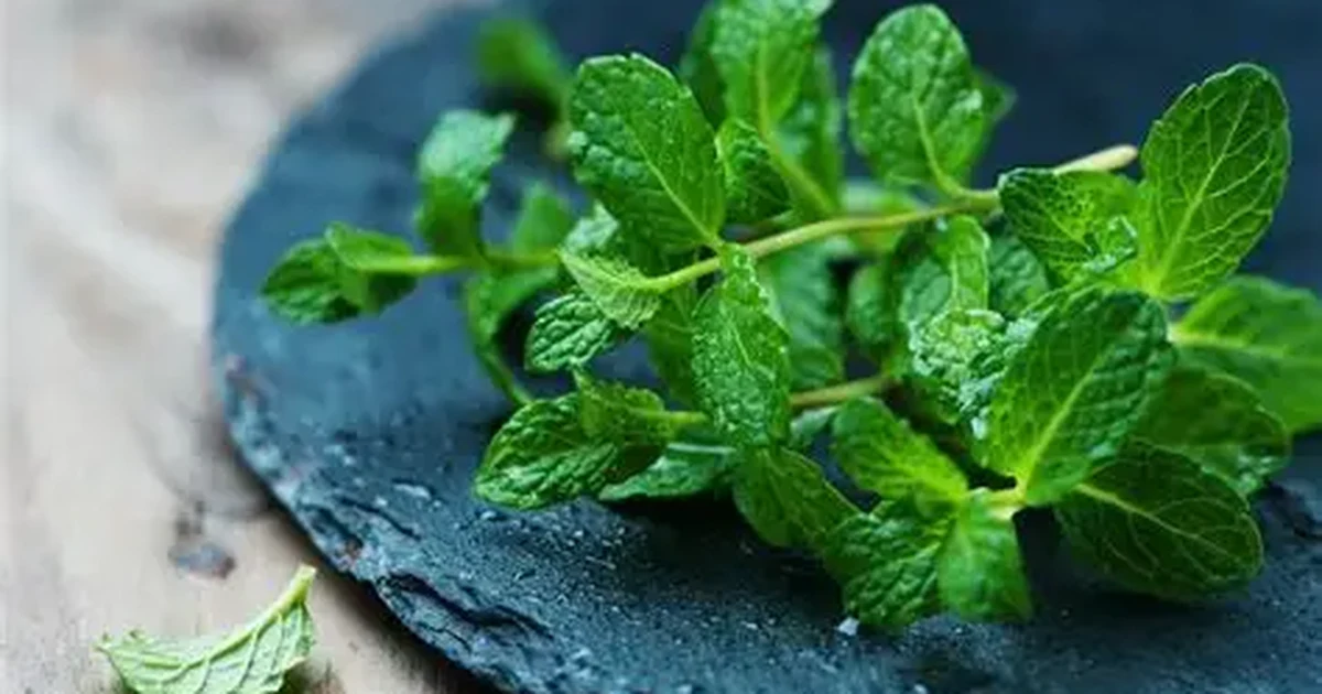 Fresh Mint: Culinary Uses, Storage Tips & Recipe Ideas