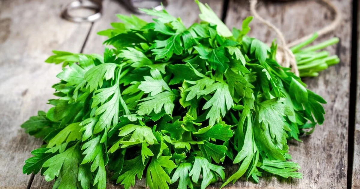 Fresh Parsley: The Everyday Herb That Deserves More Credit